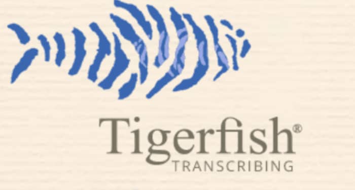 Screenshot of Tigerfish homepage